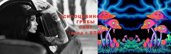 молекула духа Баксан