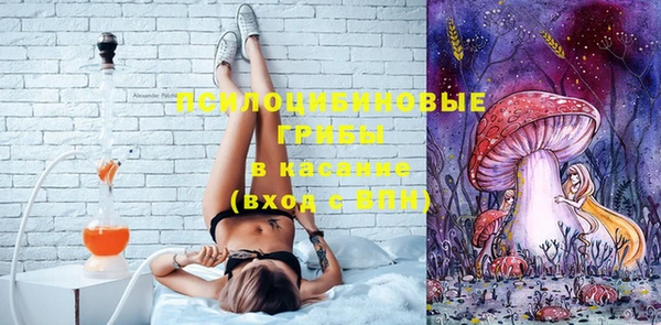 молекула духа Баксан