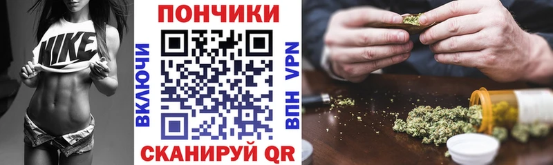 Бошки Шишки SATIVA & INDICA  мега онион  Северо-Курильск  как найти наркотики 